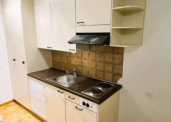 Appartement Center Next To Hb Main Train Station La - Self Checkin Zurich