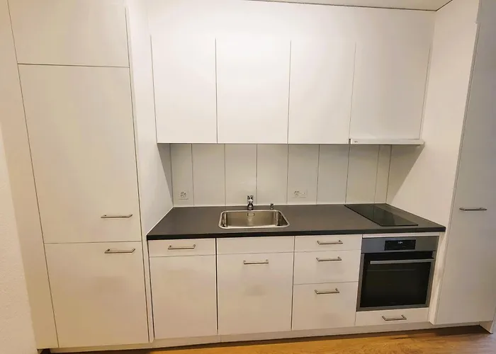 Center Next To Hb Main Train Station La - Self Checkin * 苏黎世